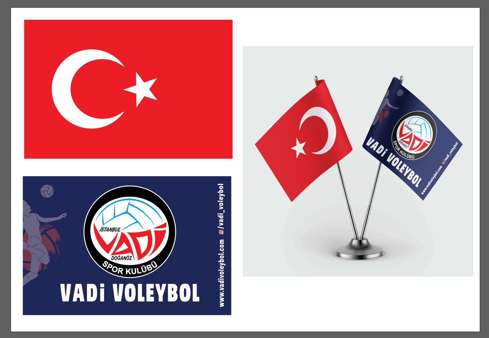 Kırlangıç Bayrak 2