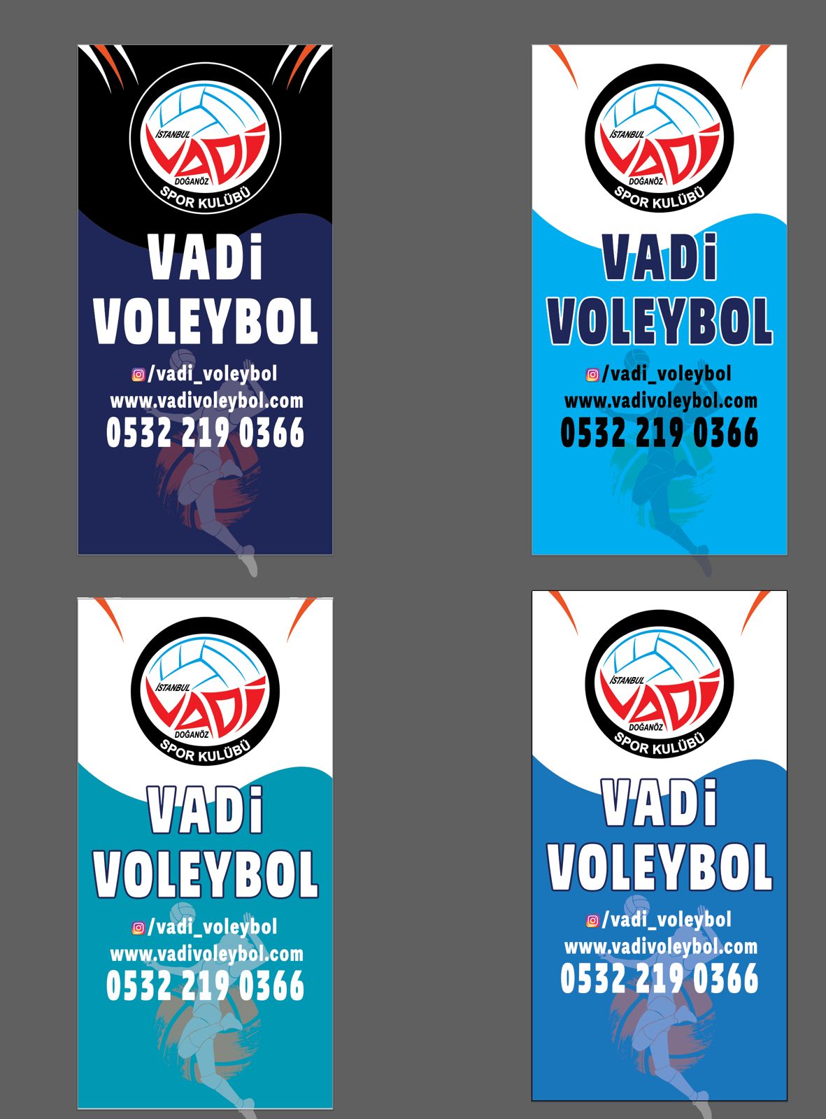 Kırlangıç Bayrak 3