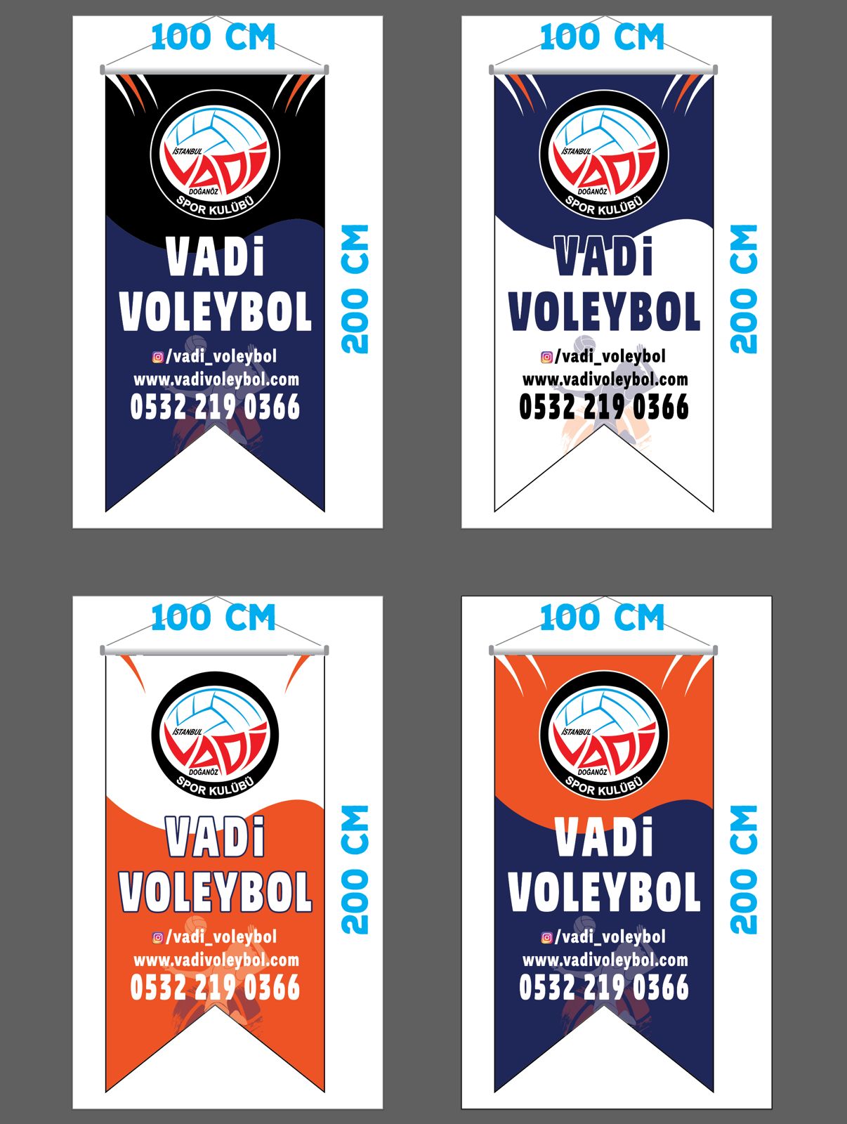 Kırlangıç Bayrak 4